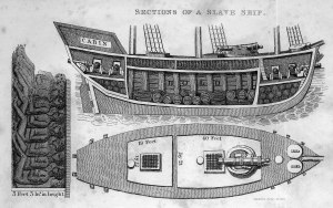 Cross section of a slave ship 1828-1829.