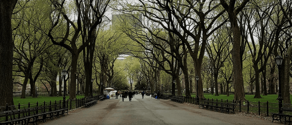 Central Park Promenade in early spring