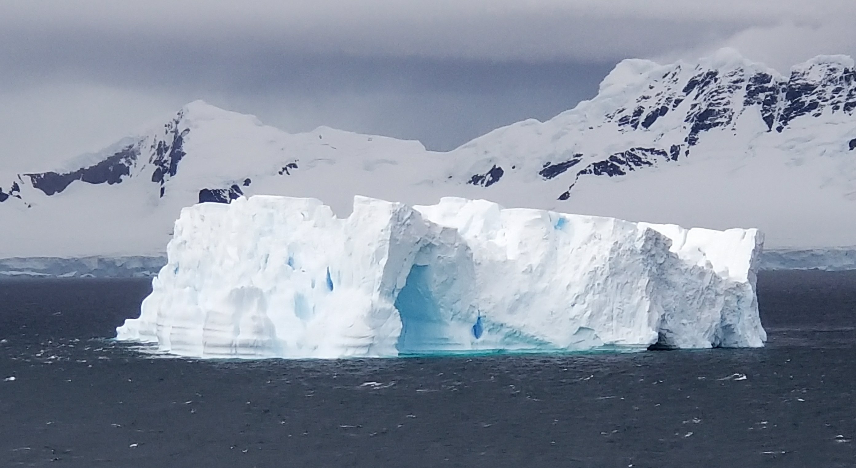 Antarctica -  Elephant Island